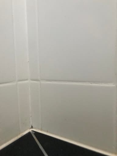 Bathroom Werx — Customer photo