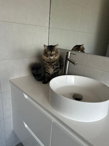 Our Bathrooms — Customer photo